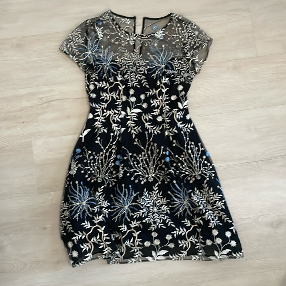 Adrianna Papell Black Dress with Silver and Blue Embroidery